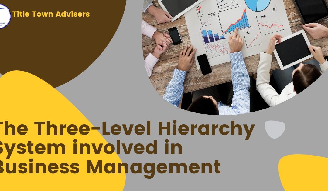 The -Level Hierarchy System involved in Business Management
