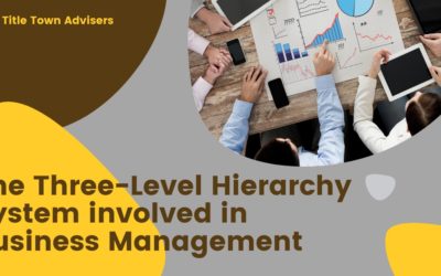 The -Level Hierarchy System involved in Business Management