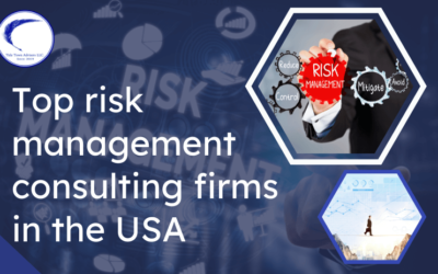Top Risk management consulting firms in the USA